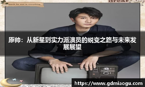 原帅：从新星到实力派演员的蜕变之路与未来发展展望